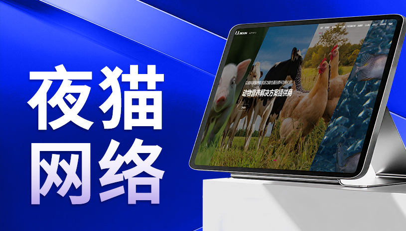 蘇州網站建設公司