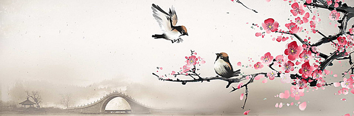 新一年的建網站|建網站公司|建網站