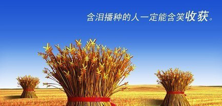 網(wǎng)站內容不更新|網(wǎng)站需要每天添加內容嗎|北京制作網(wǎng)站