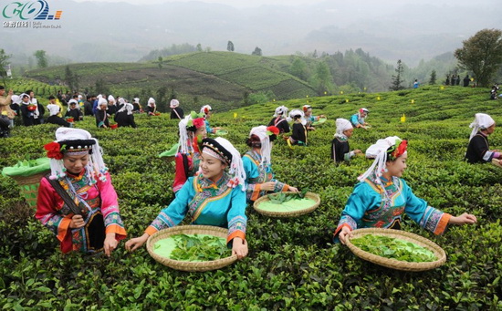 疾病控制中心網站建設|北京網站制作 疾病控制中心網站建設|北京網站制作