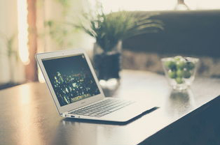 公司網站建設應避免的問題