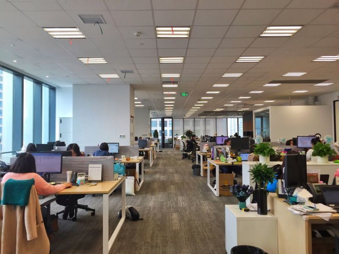 文創園網站建設,網站建設